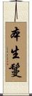 本生鬘 Scroll