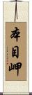 本目岬 Scroll