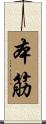 本筋 Scroll