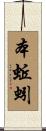 本蚯蚓 Scroll