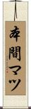 本間マツ Scroll
