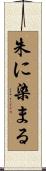 朱に染まる Scroll