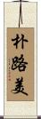 朴路美 Scroll