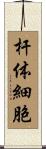 杆体細胞 Scroll