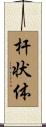 杆状体 Scroll