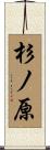 杉ノ原 Scroll