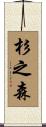 杉之森 Scroll
