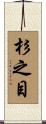 杉之目 Scroll