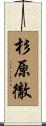 杉原徹 Scroll