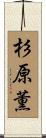 杉原薫 Scroll