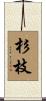 杉枝 Scroll