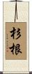 杉根 Scroll