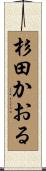 杉田かおる Scroll