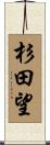 杉田望 Scroll