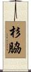 杉脇 Scroll