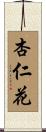 杏仁花 Scroll
