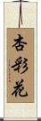 杏彩花 Scroll