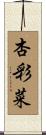 杏彩菜 Scroll