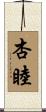 杏睦 Scroll