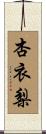 杏衣梨 Scroll