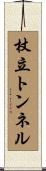杖立トンネル Scroll