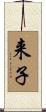 来子 Scroll