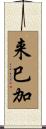 来巳加 Scroll