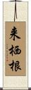 来栖根 Scroll