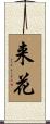 来花 Scroll