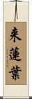 来蓮葉 Scroll