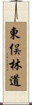 東俣林道 Scroll