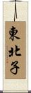 東北子 Scroll
