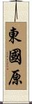 東國原 Scroll