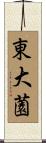 東大薗 Scroll