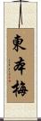 東本梅 Scroll