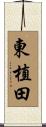 東植田 Scroll