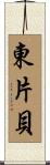 東片貝 Scroll