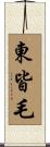 東皆毛 Scroll