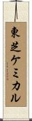 東芝ケミカル Scroll