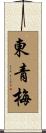 東青梅 Scroll