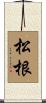 松根 Scroll