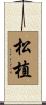 松植 Scroll
