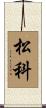 松科 Scroll