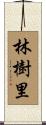林樹里 Scroll