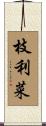 枝利菜 Scroll