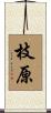 枝原 Scroll