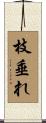 枝垂れ Scroll