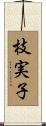 枝実子 Scroll
