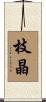 枝晶 Scroll