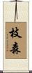 枝森 Scroll